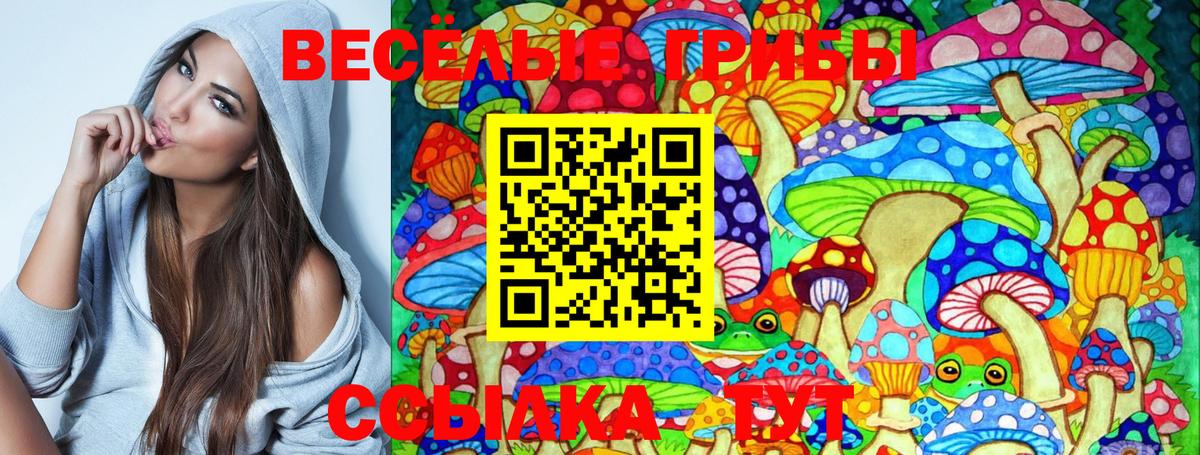 Галлюциногенные грибы Cubensis Симферополь